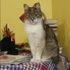 Отзыв от Аня Вишневская